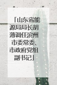 山东省能源局局长胡薄调任滨州市委常委、市政府党组副书记